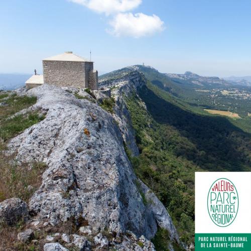 Immersion dans le Parc naturel régional de la Sainte-Baume