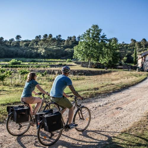 Amour, Vignes & Vélo